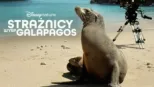 thumbnail - Strażnicy wysp Galapagos