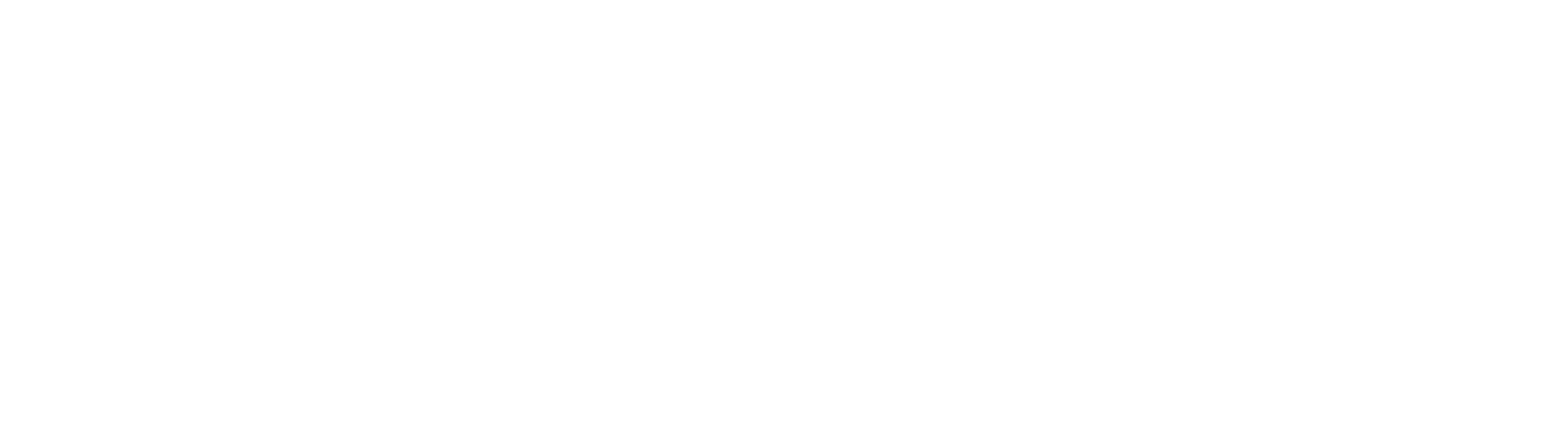 The Wedding Diary