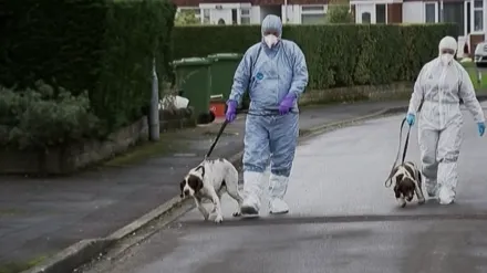 How To Catch A Serial Killer