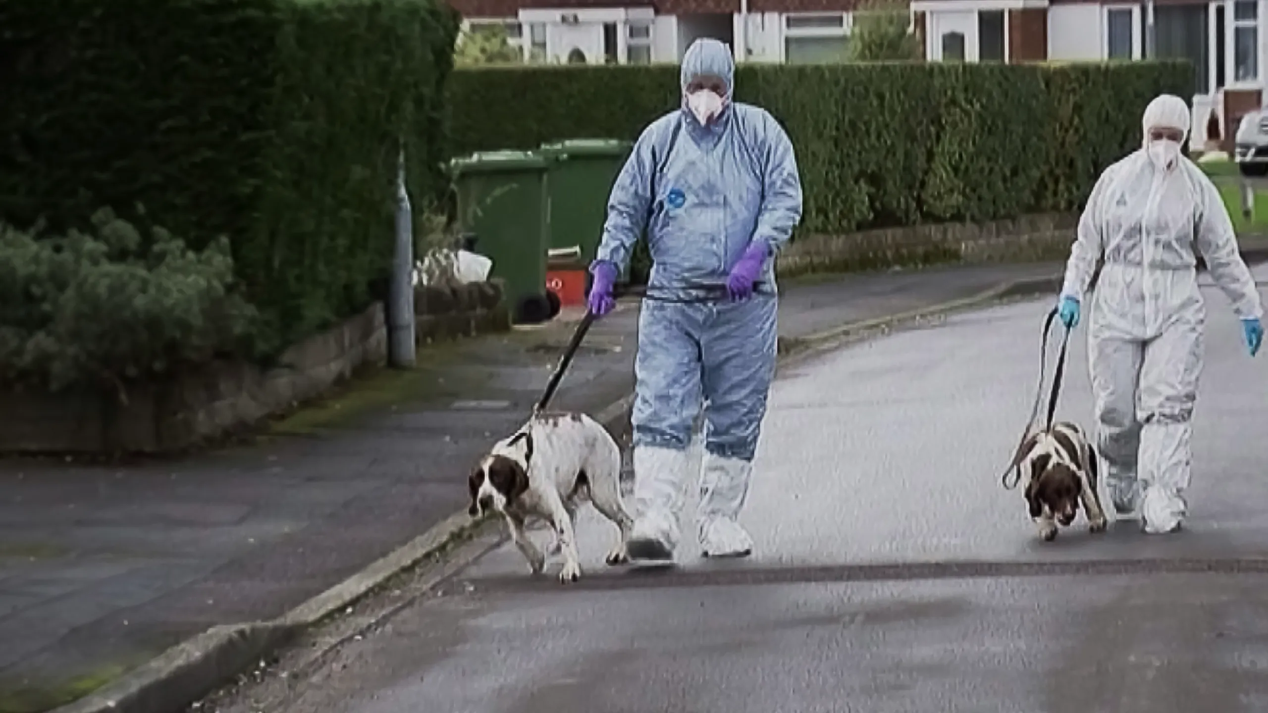 How To Catch A Serial Killer