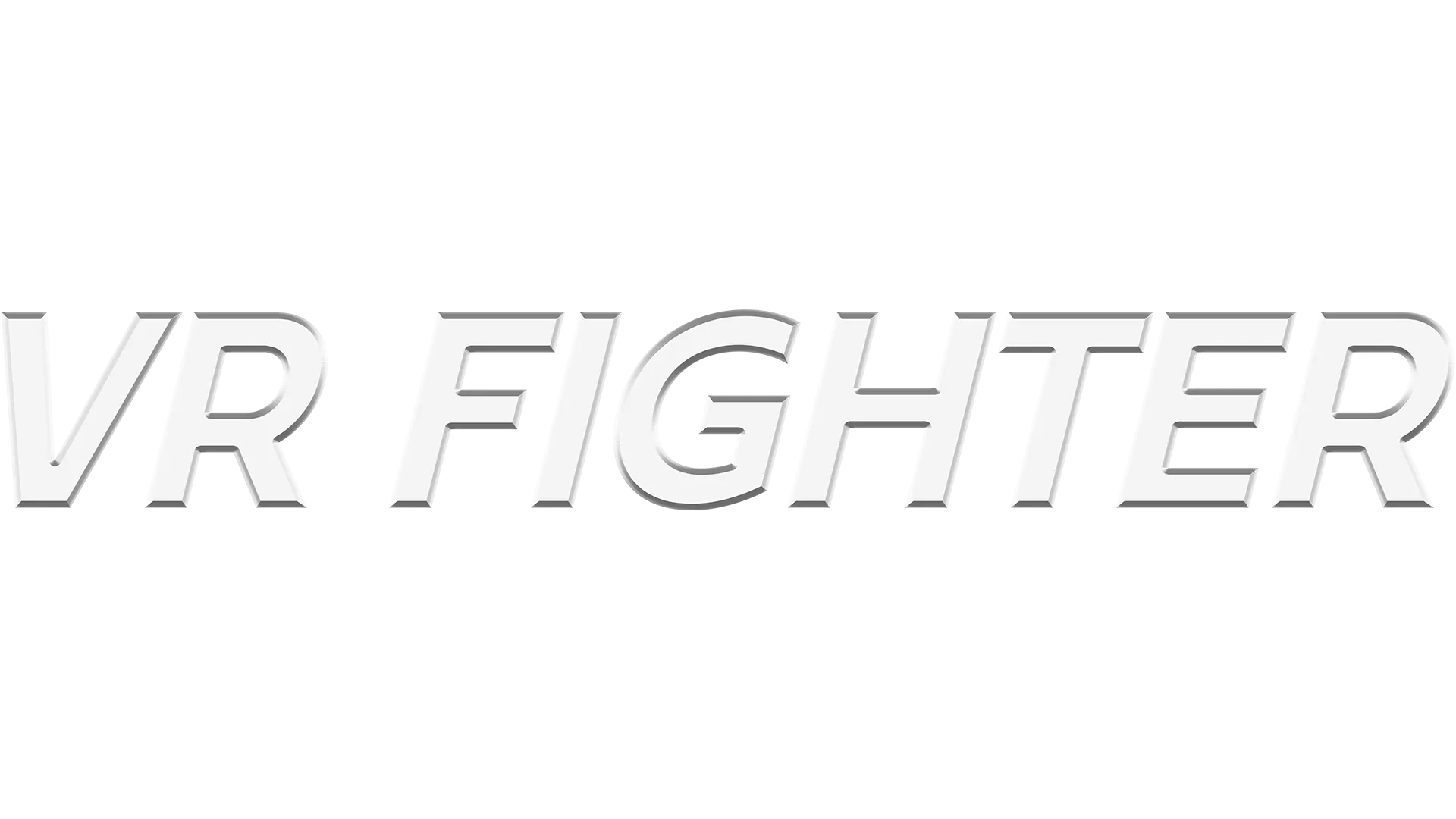 VR Fighter