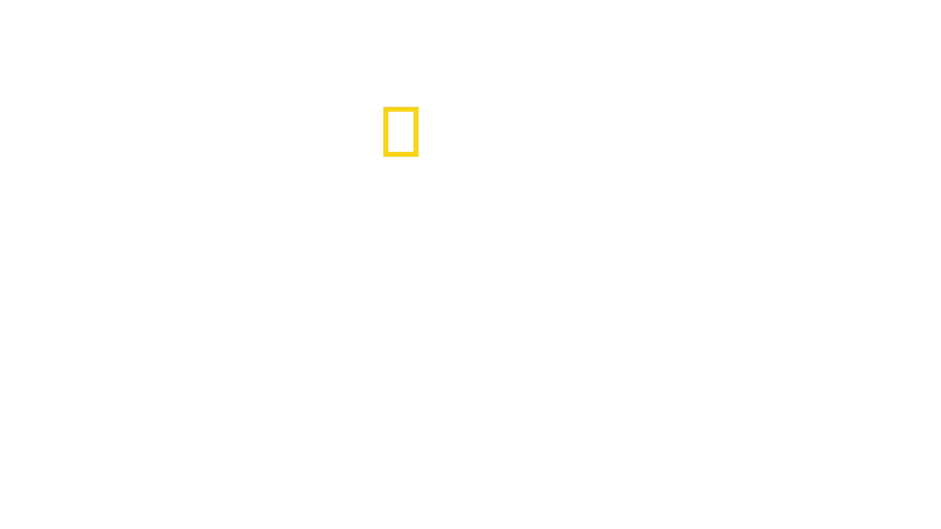 Tajemství tučňáků