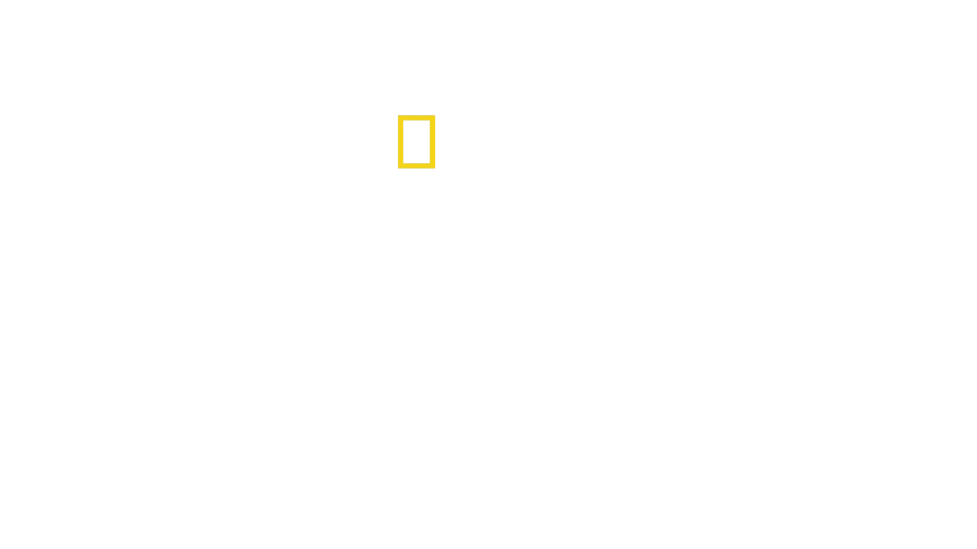 Secrets of the Penguins