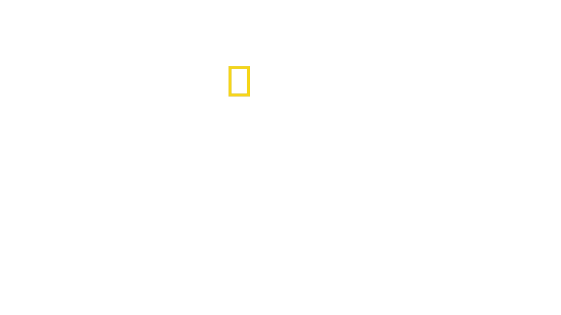 Secrets of the Penguins