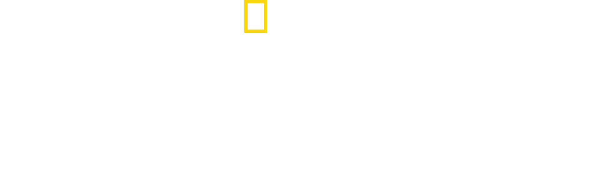 Secrets of the Penguins