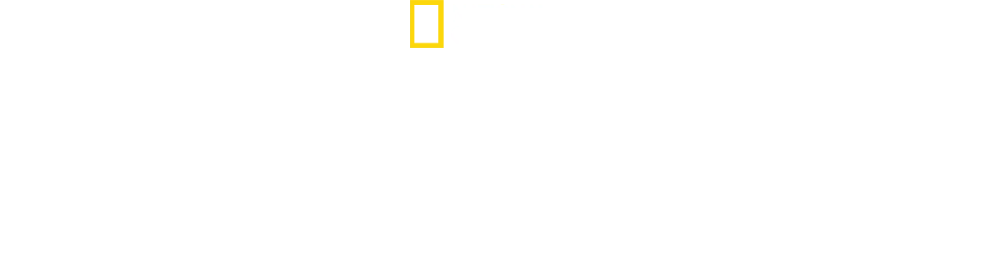 Die geheimnisvolle Welt der Pinguine