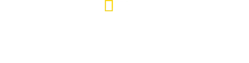 Μυστικά των Πιγκουίνων