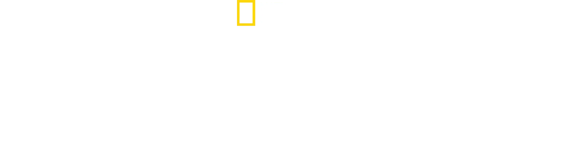 Μυστικά των Πιγκουίνων