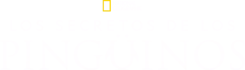 Los secretos de los pingüinos