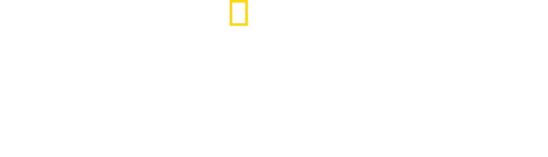 Los secretos de los pingüinos