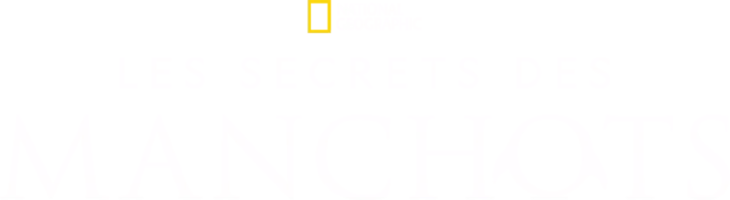 Les secrets des manchots
