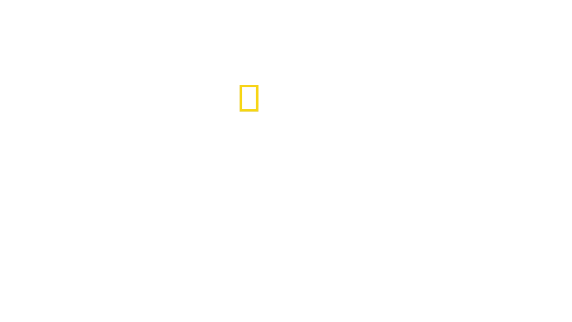A pingvinek titkai