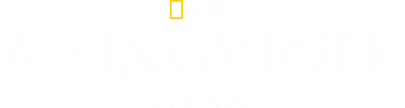 A pingvinek titkai