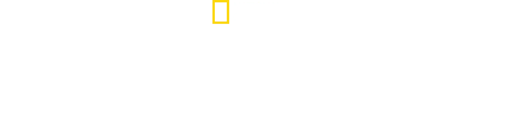 A pingvinek titkai