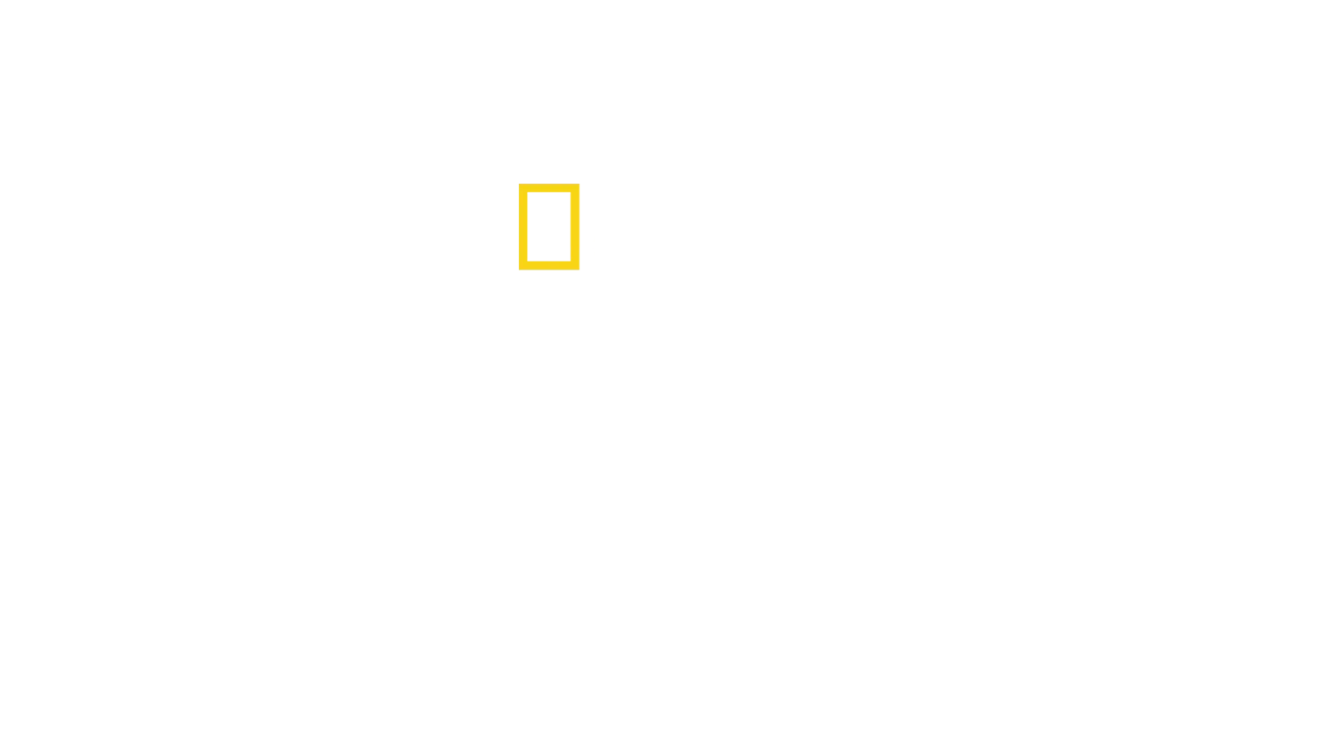 ペンギンのひみつ：過酷な世界を生きる術