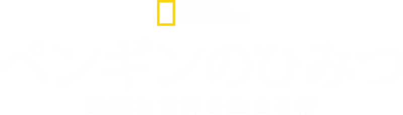 ペンギンのひみつ：過酷な世界を生きる術