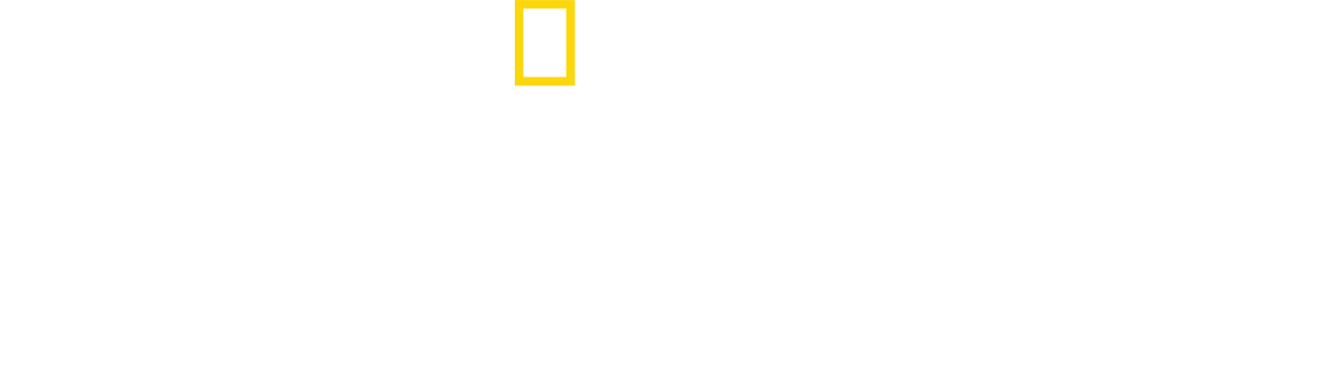 ペンギンのひみつ：過酷な世界を生きる術