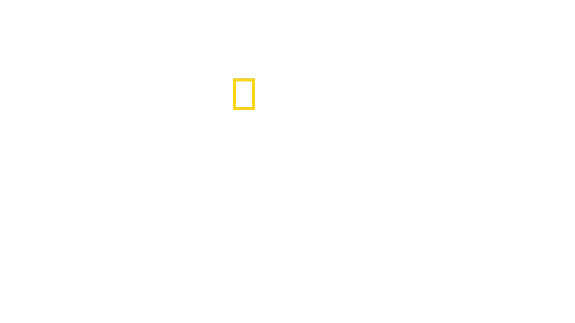 펭귄의 비밀