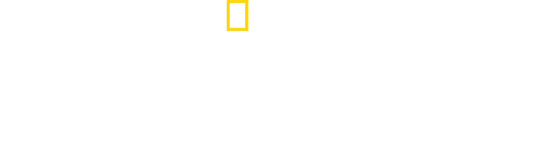 펭귄의 비밀