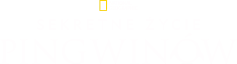 Sekretne życie pingwinów