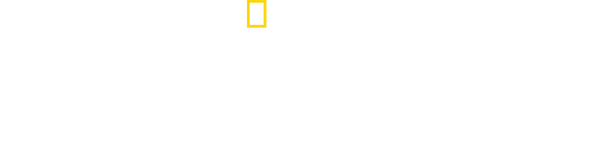 Sekretne życie pingwinów