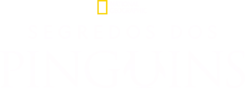 Segredos dos Pinguins