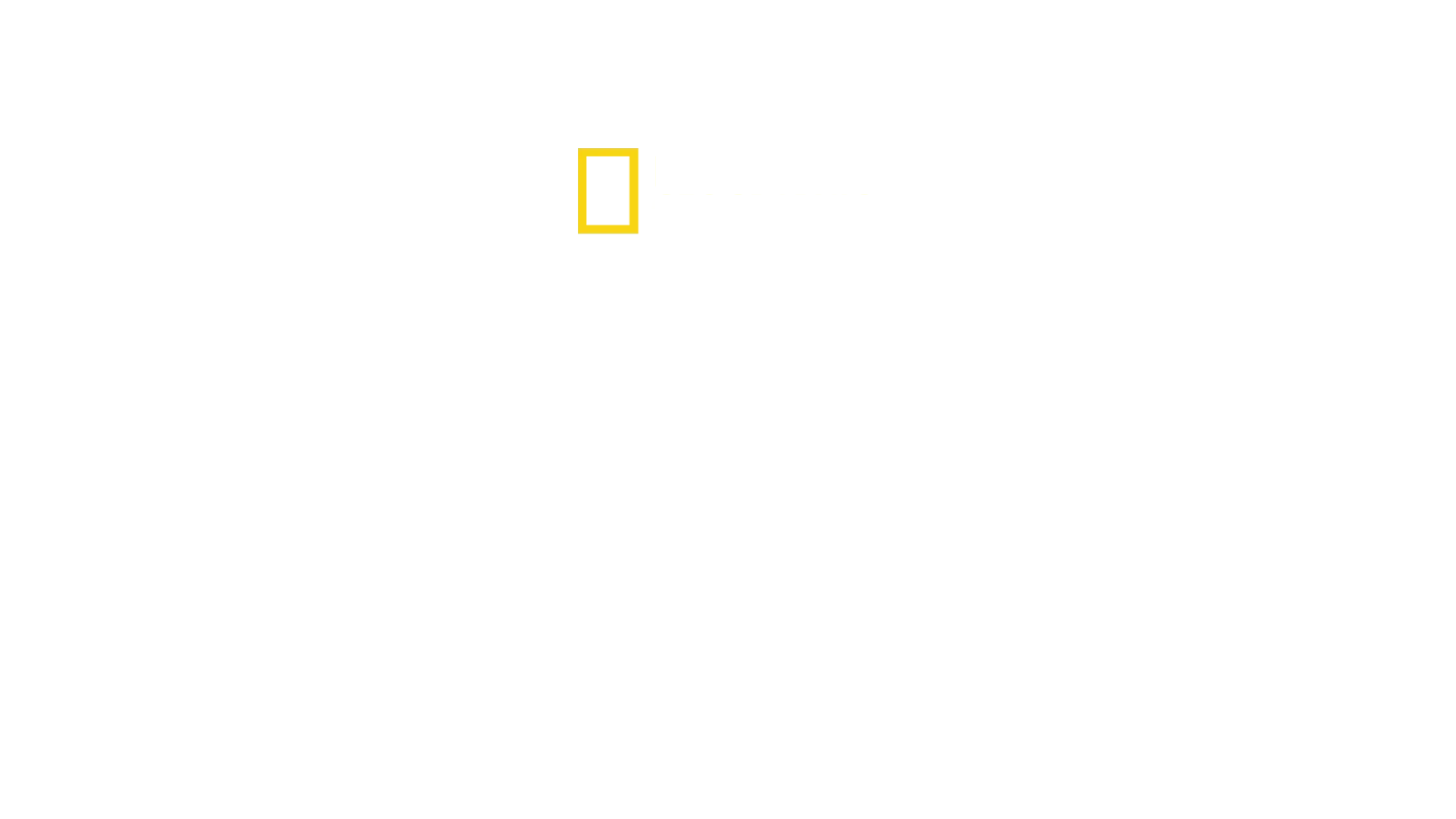 Os Segredos dos Pinguins