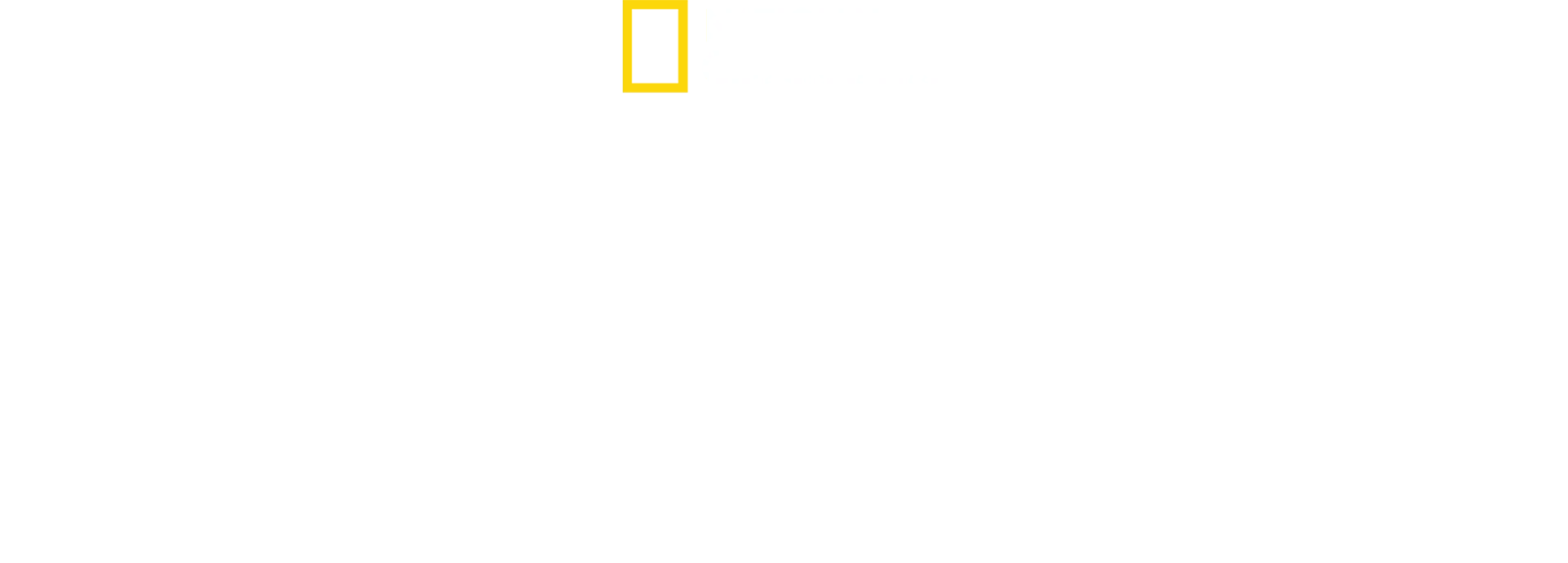 Os Segredos dos Pinguins