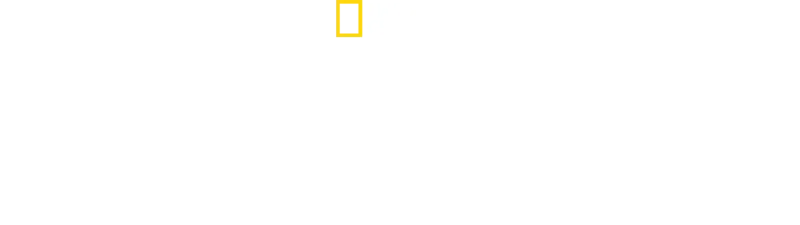 Tajomstvá tučniakov