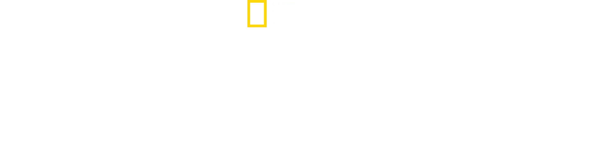 Tajomstvá tučniakov