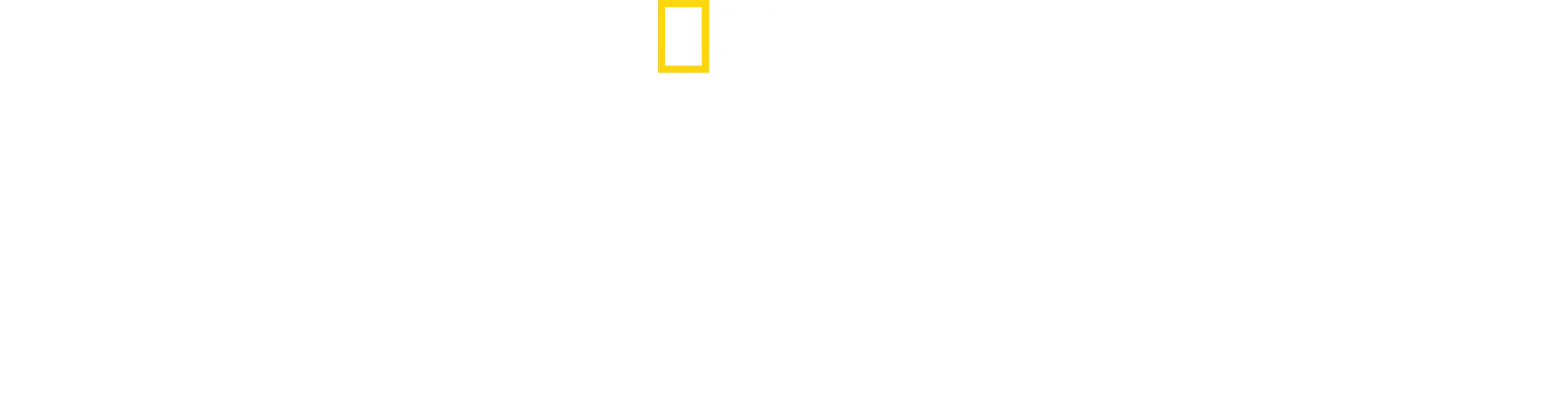 Penguenlerin Gizemli Dünyası
