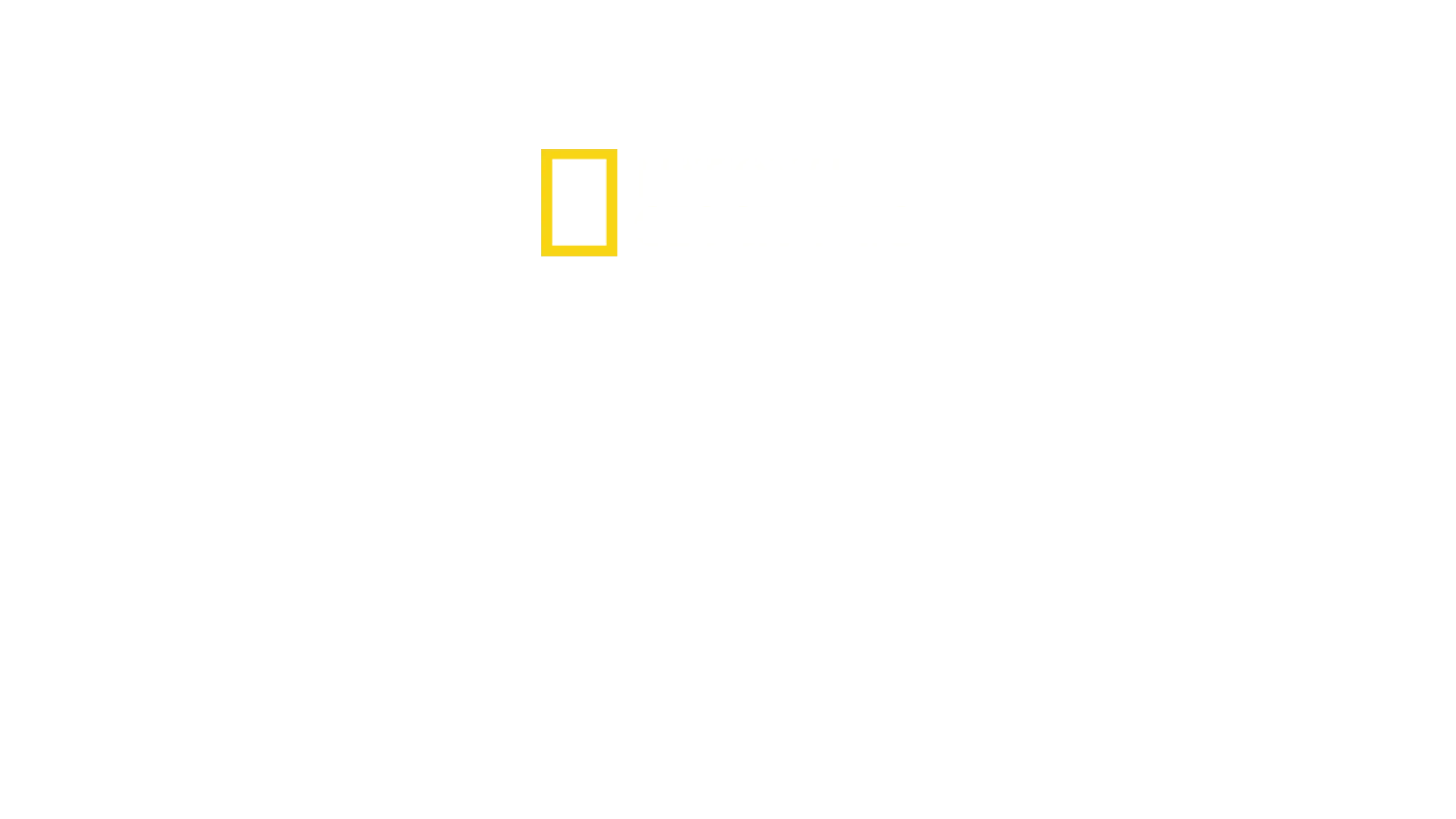 企鵝之謎
