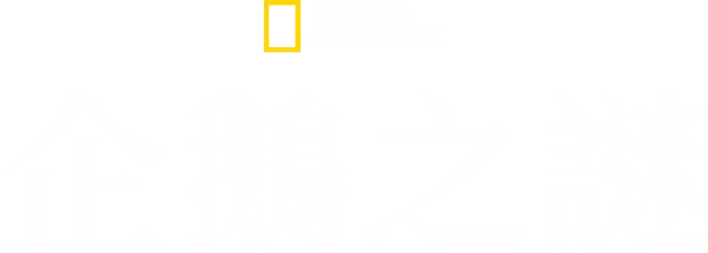 企鵝之謎