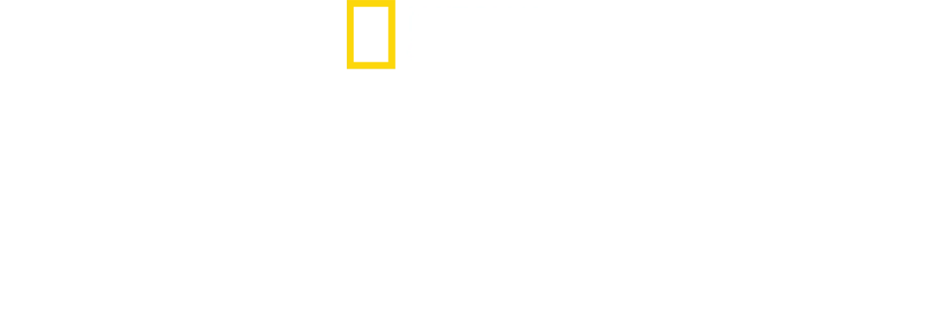 企鵝之謎