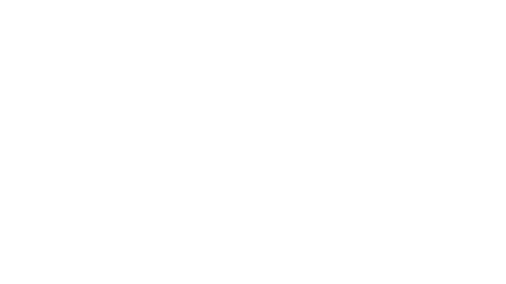 The Double