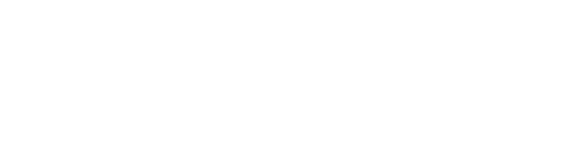 The Double