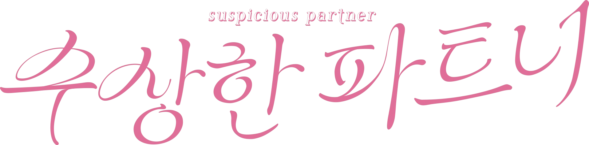 수상한 파트너