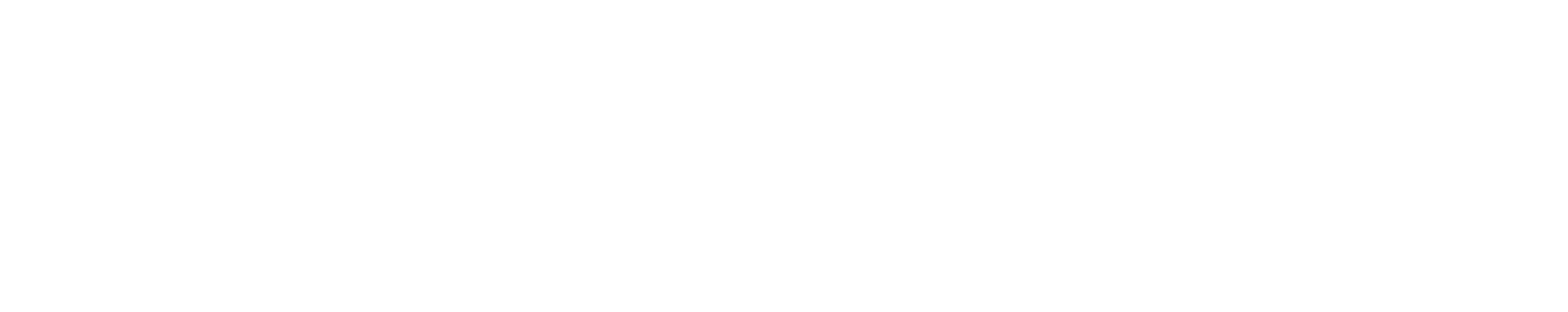 Asuntos Internos