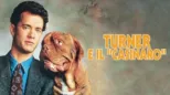 thumbnail - Turner e il "casinaro"