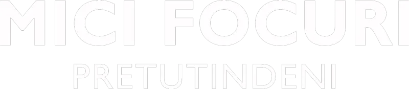 Mici focuri pretutindeni