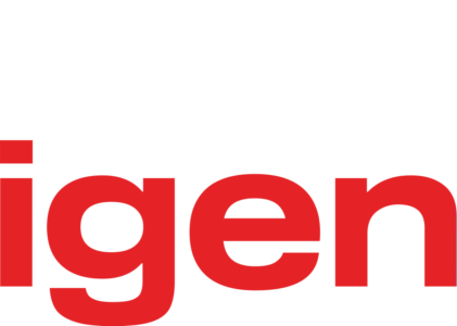 Du igen