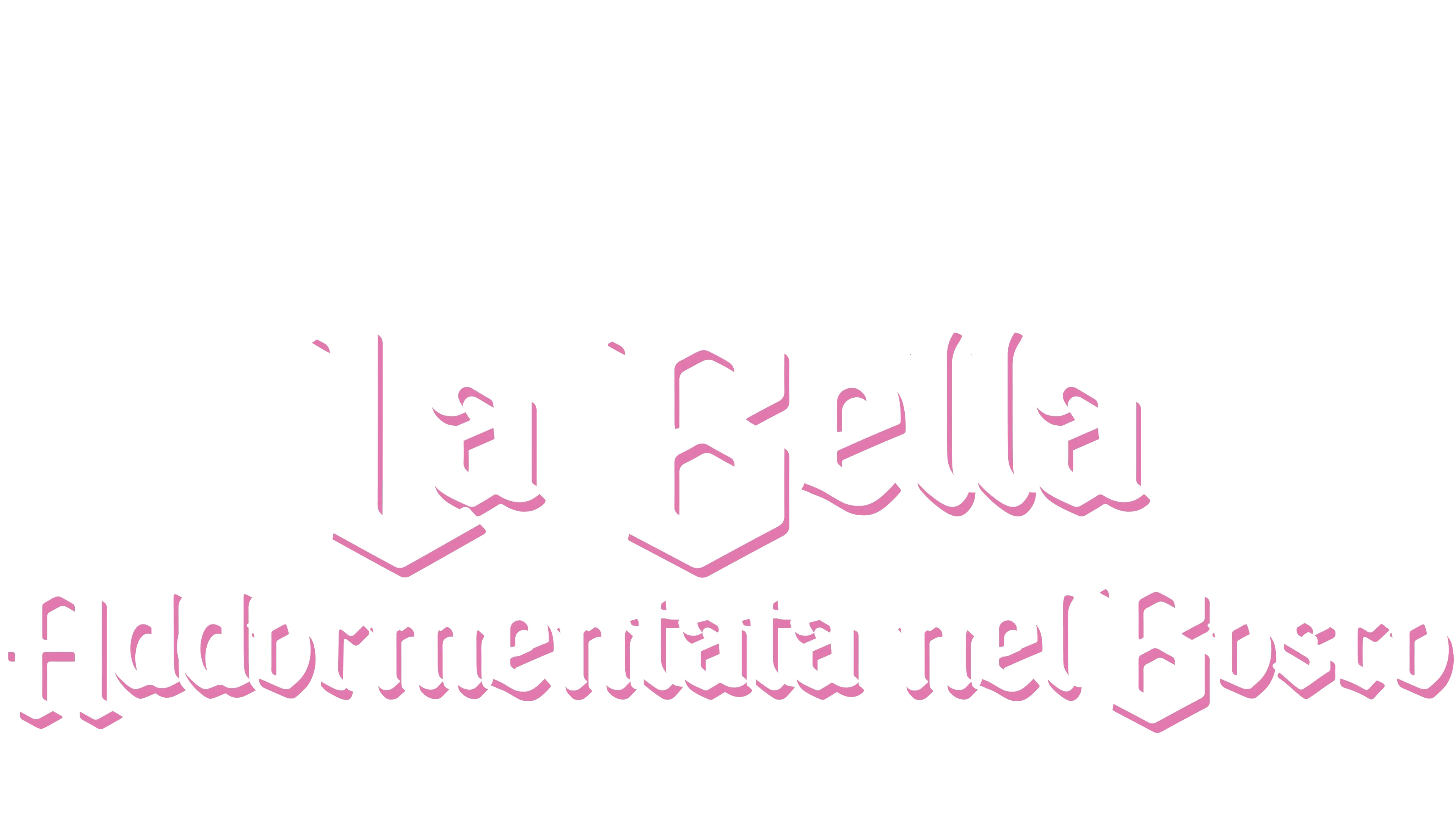 La bella addormentata nel bosco