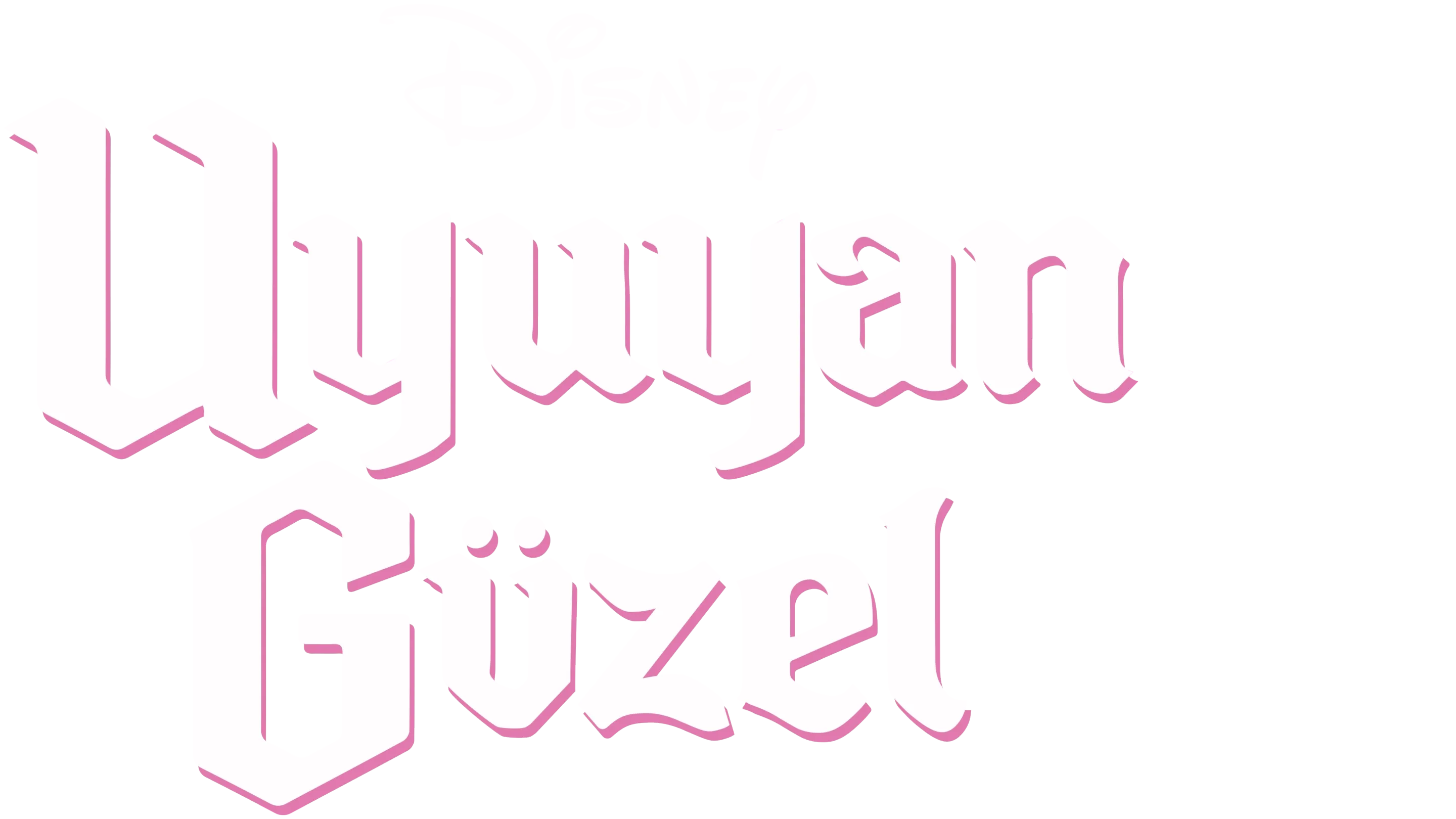 Uyuyan Güzel