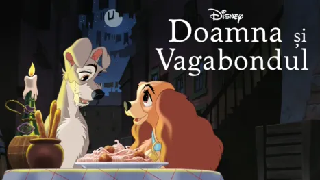 thumbnail - Doamna Și Vagabondul