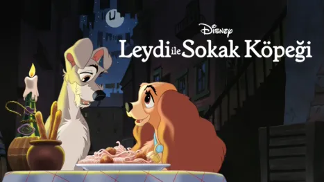 thumbnail - Leydi ile Sokak Köpeği