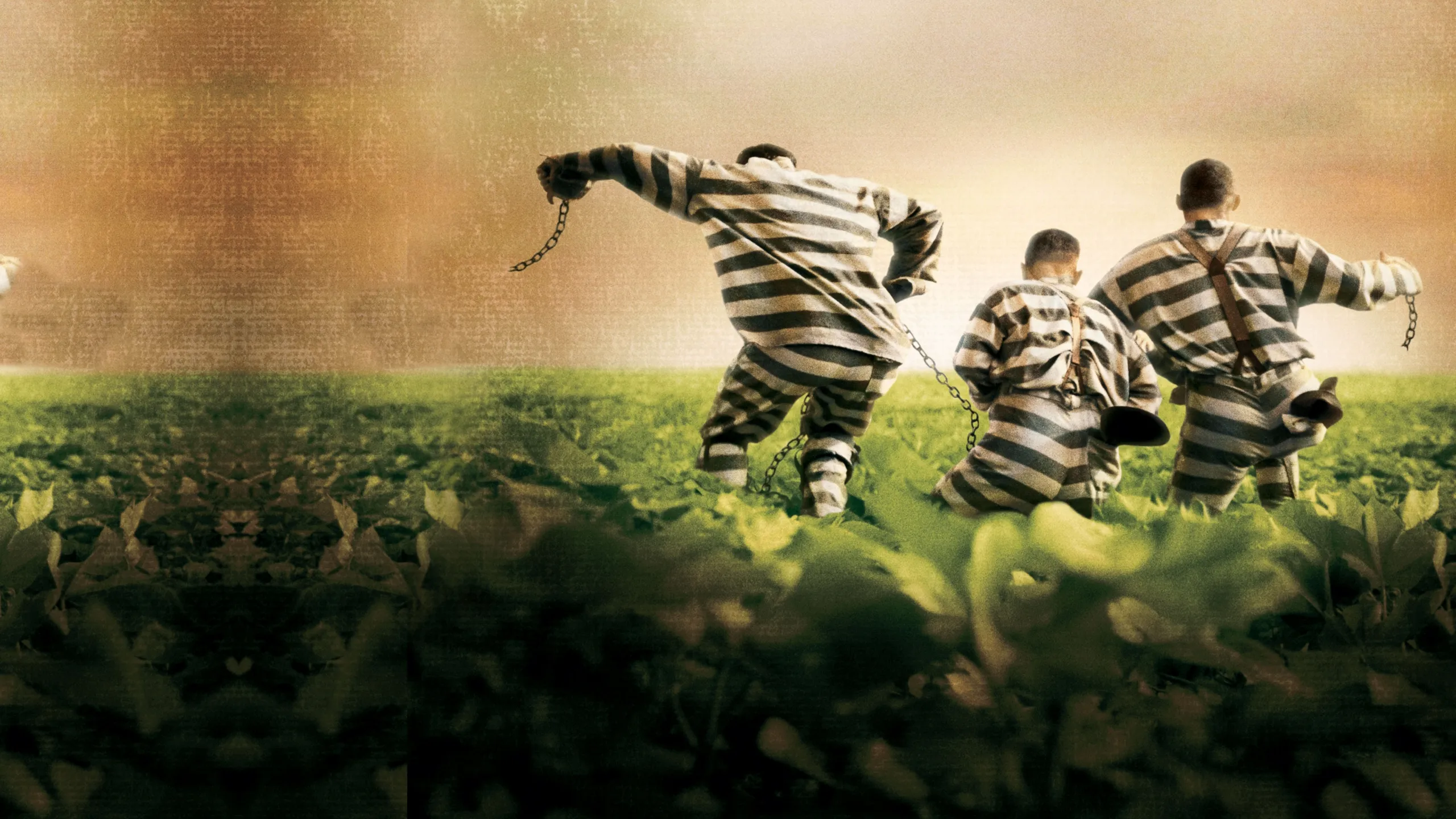 O Brother, Where Art Thou?