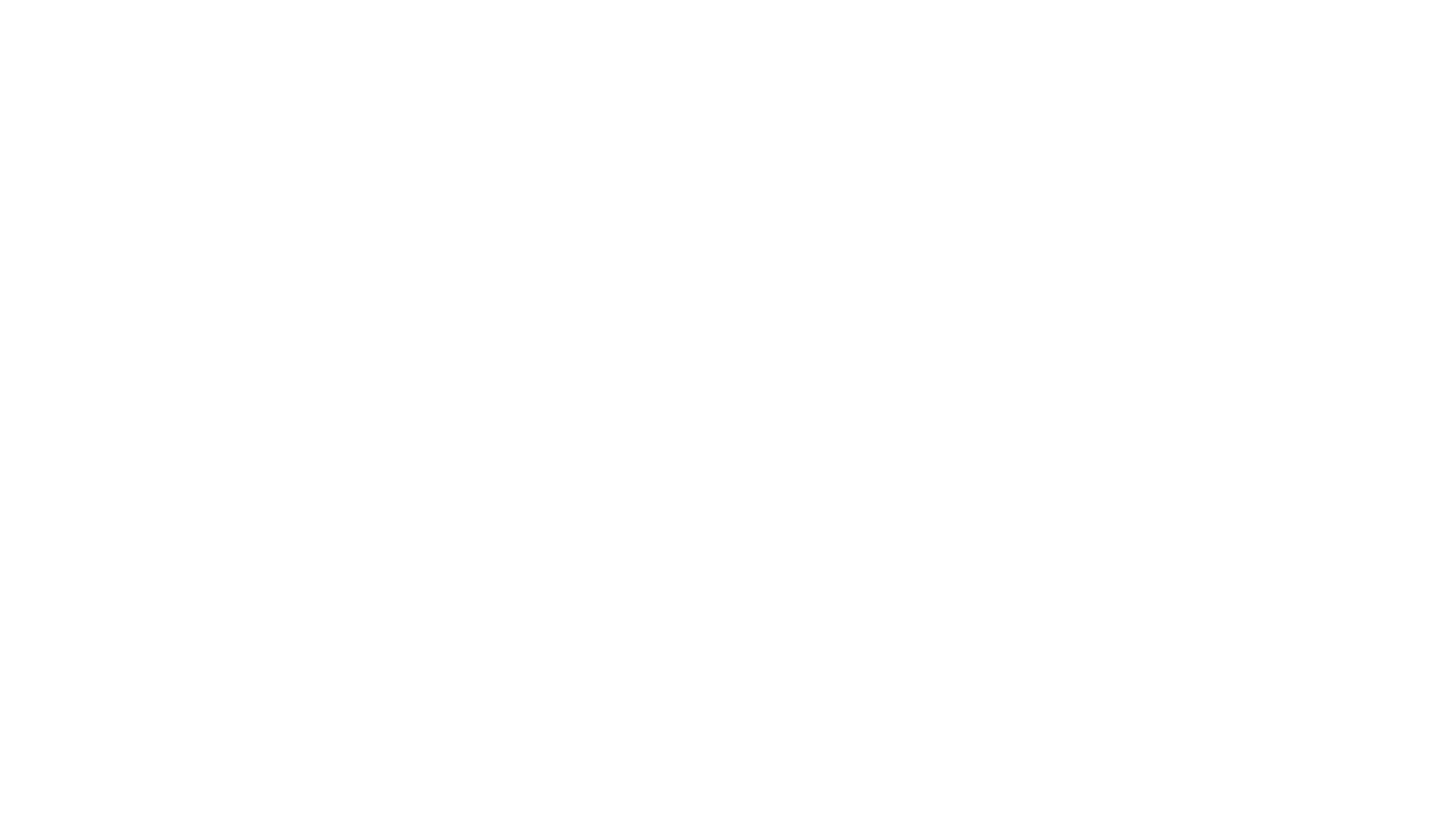 Ύποπτος: Η Δολοφονία του Ζαν Σάρλς ντε Μενέζες