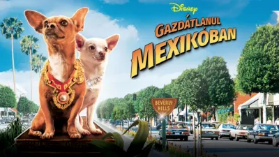 Gazdátlanul Mexikóban