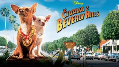 Čivava z Beverly Hills