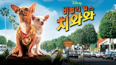 thumbnail - 비벌리힐스 치와와